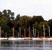 LakeWinne.jpg (16399 bytes)